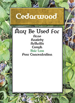 help cedarwood card